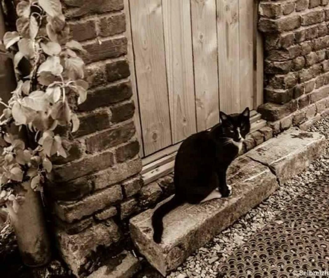 B&B Barvaux, Durbuy Εξωτερικό φωτογραφία